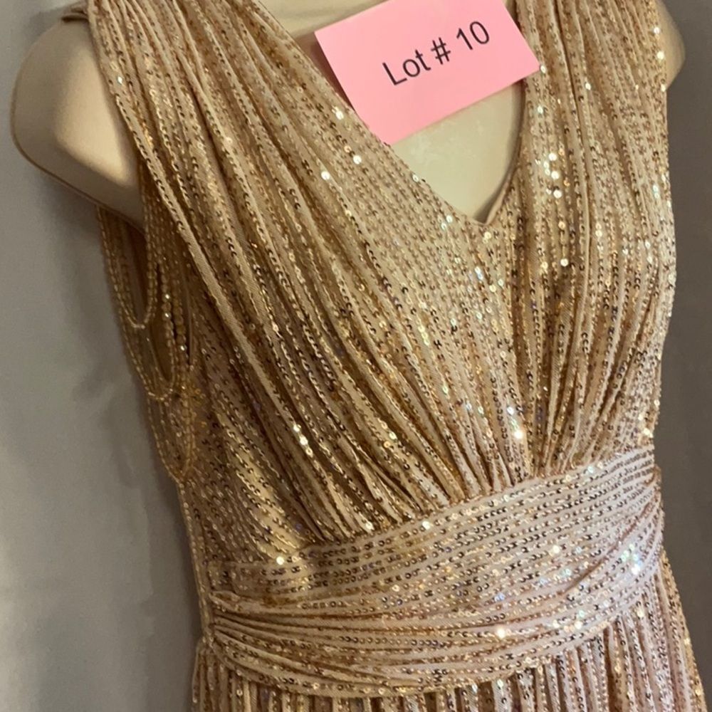ALISA & LEO nude colored gown with gold to pinkish colored sequins all over 15JR - Picture 5 of 16
